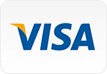 visa payment logo